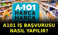 A101 İş Başvurusu Nasıl Yapılır? Eleman Alınan Pozisyonlar, Şartları